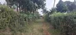 Kitalu cha Makazi cha 60x100 kwa Uuzaji - Ngecha Ring’ati B - 5