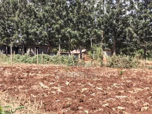 Murang'a Kabirwa Mirira Plot - 50x100