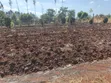 Murang'a Kabirwa Mirira Plot - 50x100 - 3