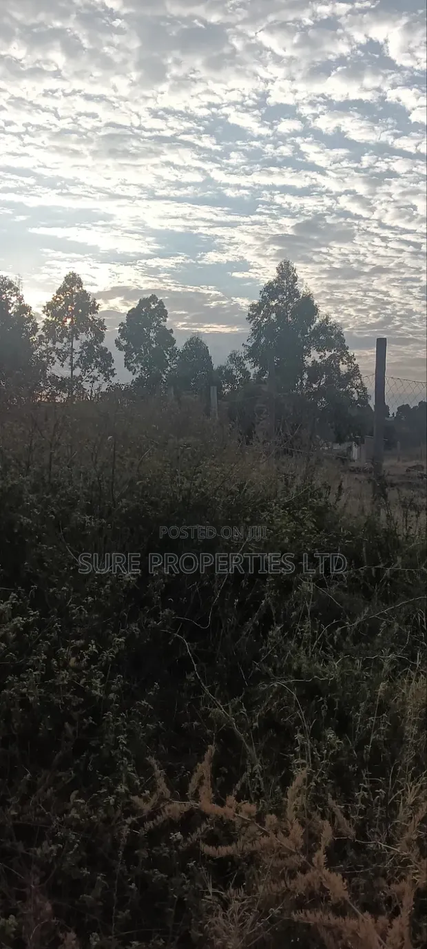 100x100 Prime Plot Kamangu Thigio - 1