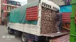 Isuzu NPR Truck 2019 White - 2