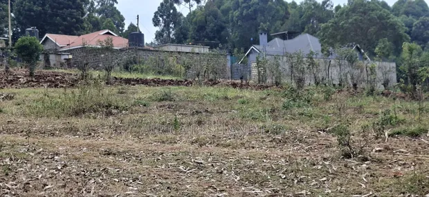 Kitalu cha 50x100 Kinauzwa - Kamuguga, Karibu na Zambezi - 1