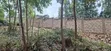 Kitalu cha 50x100 Kinauzwa - Kamuguga, Karibu na Zambezi - 4