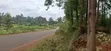 Kitalu cha 50x100 Kinauzwa - Kamuguga, Karibu na Zambezi - 5
