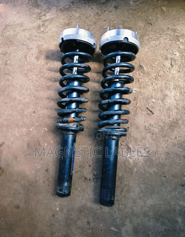 BMW X6 Suspension Shocks & Coil Springs (Used) - 1