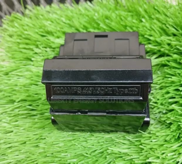 Best 100A Double Cut-Out - 1