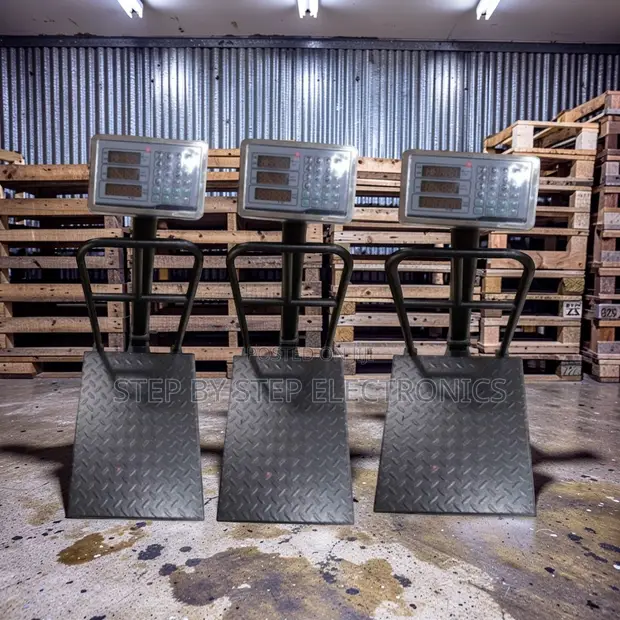 Digital Platform Weighing Scales (100kg-300kg) - 1