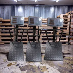 Digital Platform Weighing Scales (100kg-300kg)