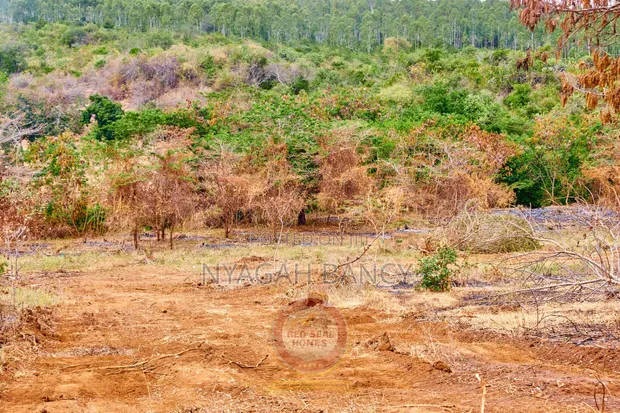 50x100 Plots for Sale in Embu County - 1