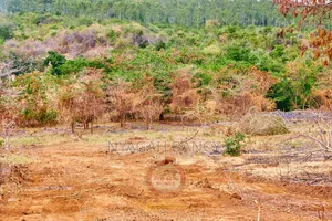 50x100 Plots for Sale in Embu County