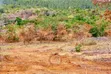 50x100 Plots for Sale in Embu County - 1