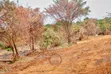 50x100 Plots for Sale in Embu County - 2