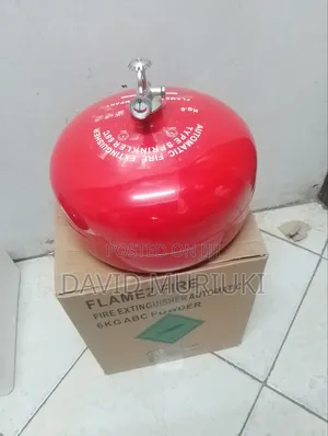 6kg Automatic Dry Powder Fire Extinguisher