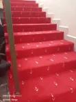 Brand New Wall-to-Wall Carpet - 2
