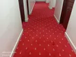Luxury Executive Wall to Wall Carpet - 1