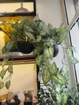 70cm Artificial Hanging Plant with Vase - 2