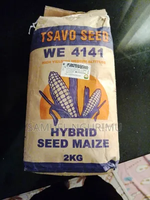 Tsavo Seed WE 4141 Maize Seeds