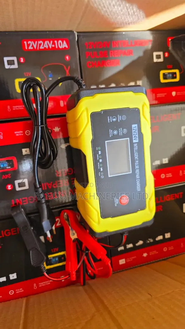 Intelligent Battery Charger 12/24V - 1