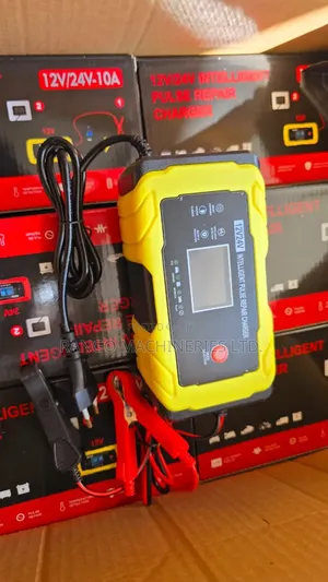 Intelligent Battery Charger 12/24V