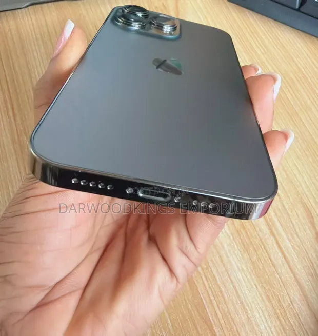Apple iPhone 13 Pro 256GB Gray - 1