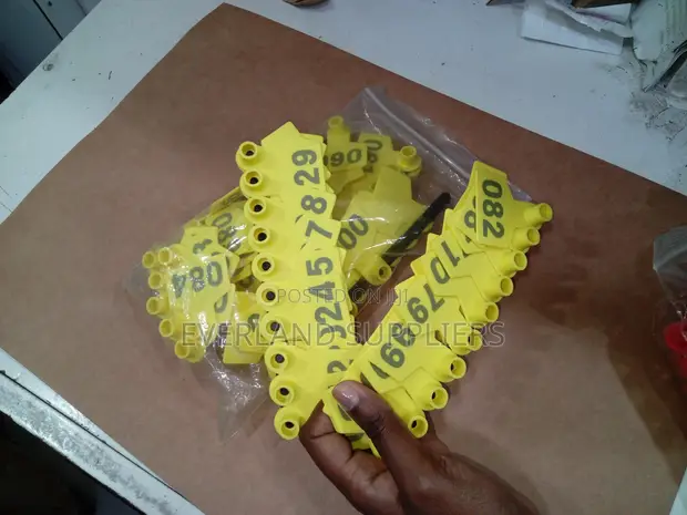 Strong Flexible Ear Tags (Pack) - 1