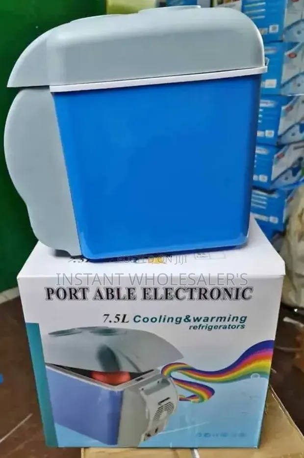 Electric Car Cooler Box - 1