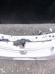 Toyota Passo Nosecut - Brand New - 2