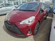 Toyota Vitz 1.3 FWD 5dr 2019 Maroon - 1