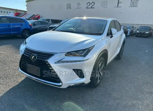 Lexus NX 300 FWD 2018 Pearl - 1