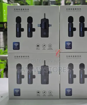 2.4GHz Dual Wireless Microphone System