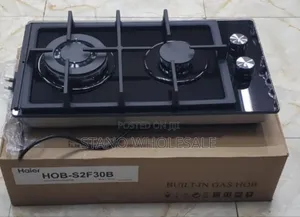 Haier Inbuilt 2 Burner Cooker