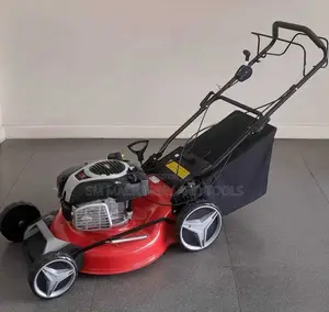 Briggs & Stratton Self-Propelled Lawn Mower 21-Inch 161cc