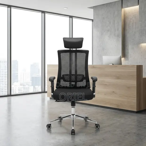 Orthopedic Ergonomic Office Chair - Black - 1