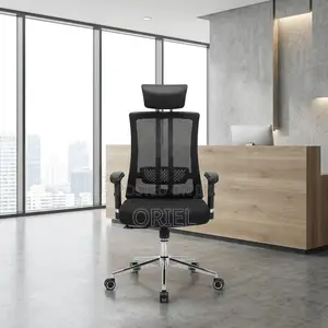 Orthopedic Ergonomic Office Chair - Black