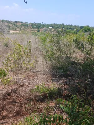Ekari 5 za Ardhi Zinauzwa Kilifi Takaungu