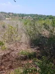 Ekari 5 za Ardhi Zinauzwa Kilifi Takaungu - 1