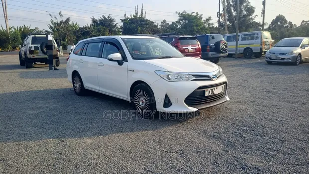 Toyota Corolla Fielder Hybrid 2019 White - 1