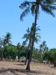 Eneo la Ekari 3 kwa Uuzaji Kilifi Mavueni Karibu na Shule ya Sekondari ya Wasichana Bahari - 3