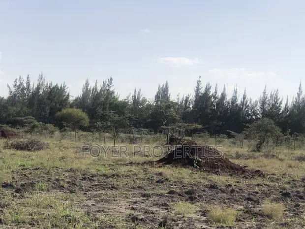 2 Acres Land Near Nairobi National Park, Tuala - 1