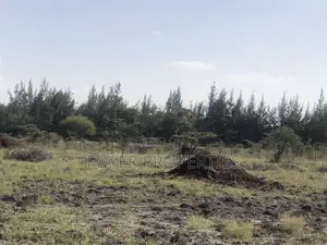 Eneo la Eka 2 Karibu na Hifadhi ya Taifa ya Nairobi, Tuala