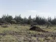 2 Acres Land Near Nairobi National Park, Tuala - 1