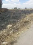 Katani After Camp Residential Plots 50x100 Freehold - 2