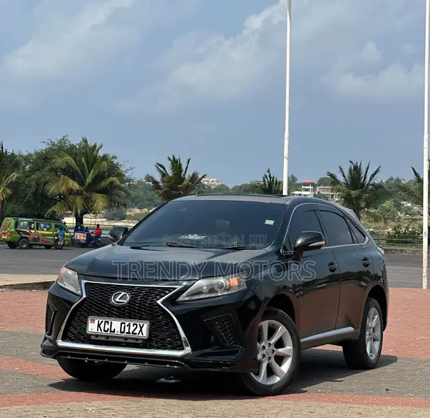 Lexus RX 2010 Black - 1
