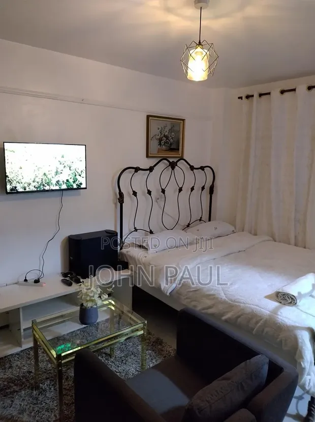 Airbnb Studio Apartment in Kasarani, Nairobi - 1