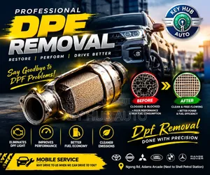 DPF Removal & ECU Precision