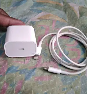 Apple iPhone Fast Charger (Used)