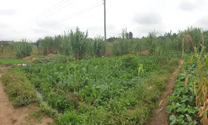 Kitalu Bora cha Makazi Thika Ngoingwa kwa Uuzaji