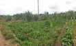 Kitalu Bora cha Makazi Thika Ngoingwa kwa Uuzaji - 1