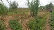 Kitalu Bora cha Makazi Thika Ngoingwa kwa Uuzaji - 2