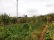 Kitalu Bora cha Makazi Thika Ngoingwa kwa Uuzaji - 5